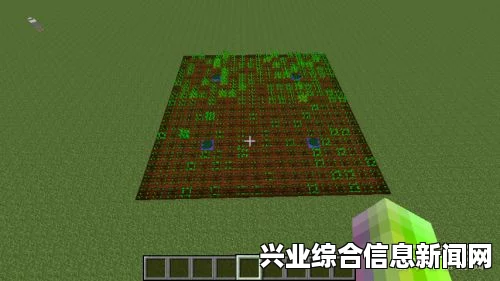 我的世界农作物种植指南，高效种植技巧揭秘