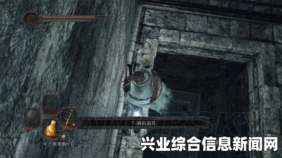黑暗之魂2原罪学者不死灵庙攻略详解，探索与战斗秘籍分享