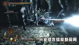 黑暗之魂2辉石镇攻略详解，原罪学者带你玩转游戏攻略分享