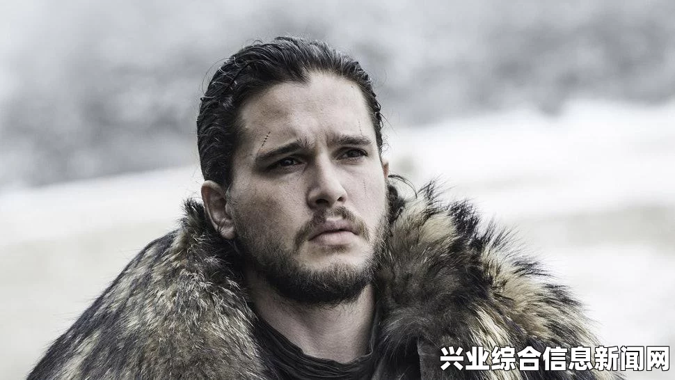 巫师3狂猎尼弗迦德套装强化MOD介绍