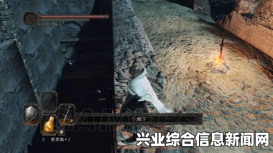 黑暗之魂2原罪学者，深度探索与凡荷特转赠任务全解析