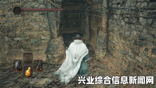 黑暗之魂2原罪学者，趣味发现及凡荷特转赠任务整理