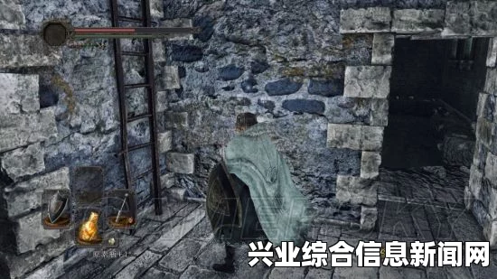 黑暗之魂2原罪学者，趣味发现及凡荷特转赠任务整理