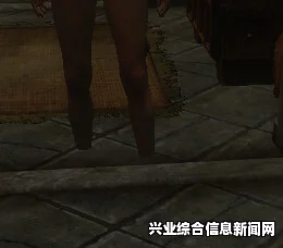 上古卷轴5高跟贴图修改详解，从基础到进阶的指南