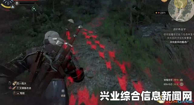 巫师3，狂猎支线任务披着狼皮关键点解析
