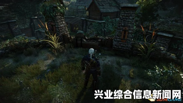 巫师3，狂猎支线任务披着狼皮关键点解析