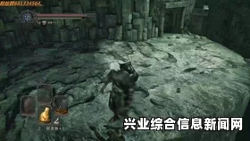 黑暗之魂2原罪学者，刑吏查略特打法心得