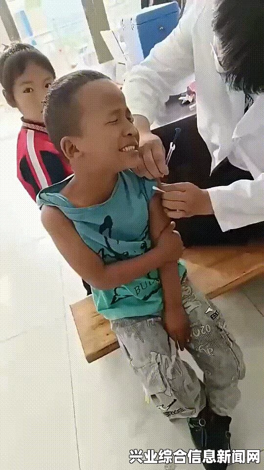 揭秘恐龙消失之谜，探寻恐龙丢失的原因