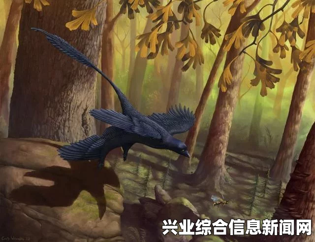 小盗龙数据资料