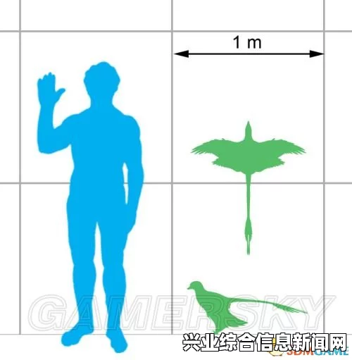 小盗龙数据资料