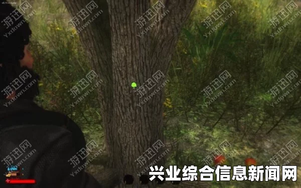 逆境求生之路，探索存档位置与生存策略