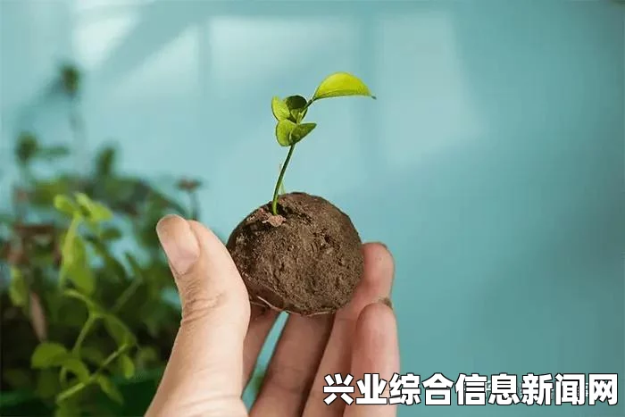 种子的珍贵，获取方法与种植秘籍