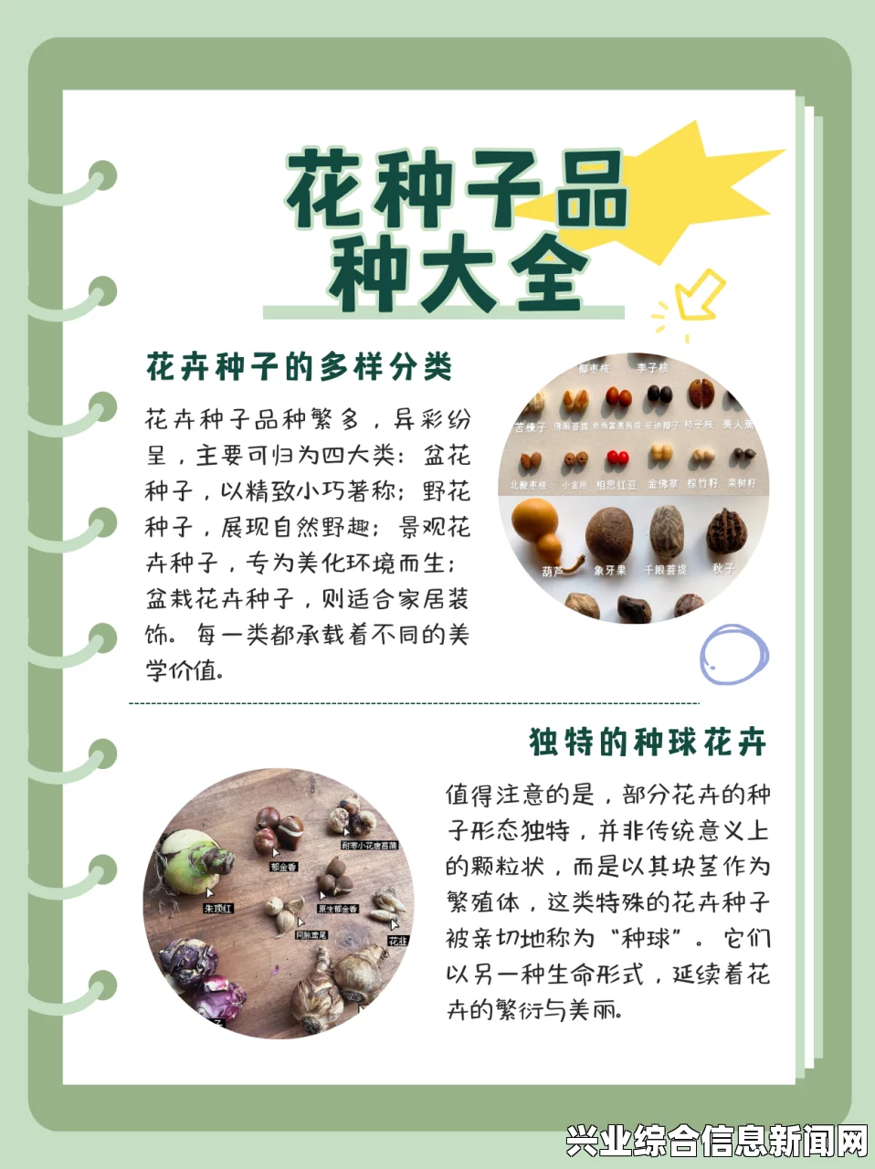 珍惜种子获得方法