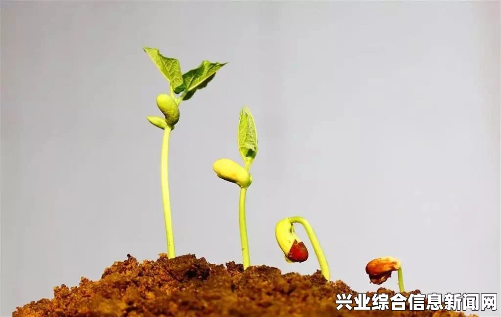 珍惜种子获得方法