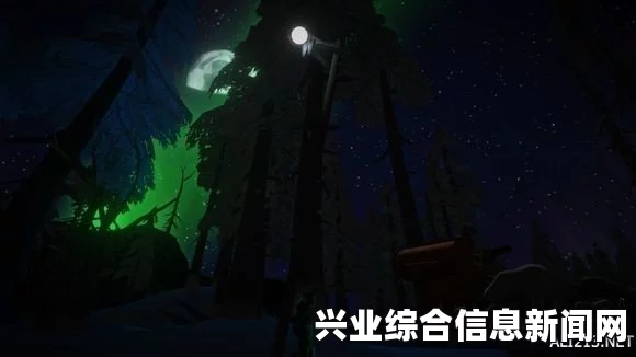 讨鬼传极光精的概述