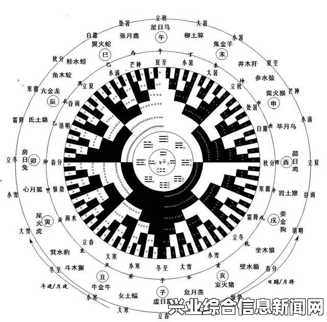 十二地支日冕转盘攻略详解，玩转转盘，掌握胜机！