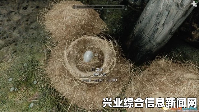 上古卷轴5，游戏性MOD之鸡神之戒—下蛋神器与回血传奇