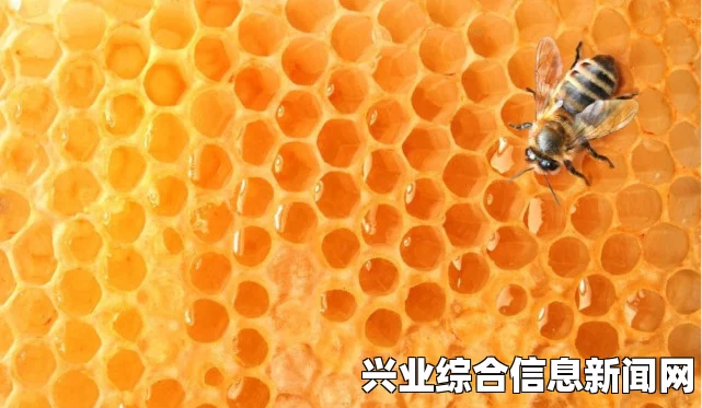 蜂巢奥秘，多重功效揭秘