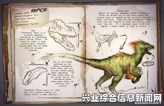 方舟生存进化，驯龙入门指南与基础经验心得分享