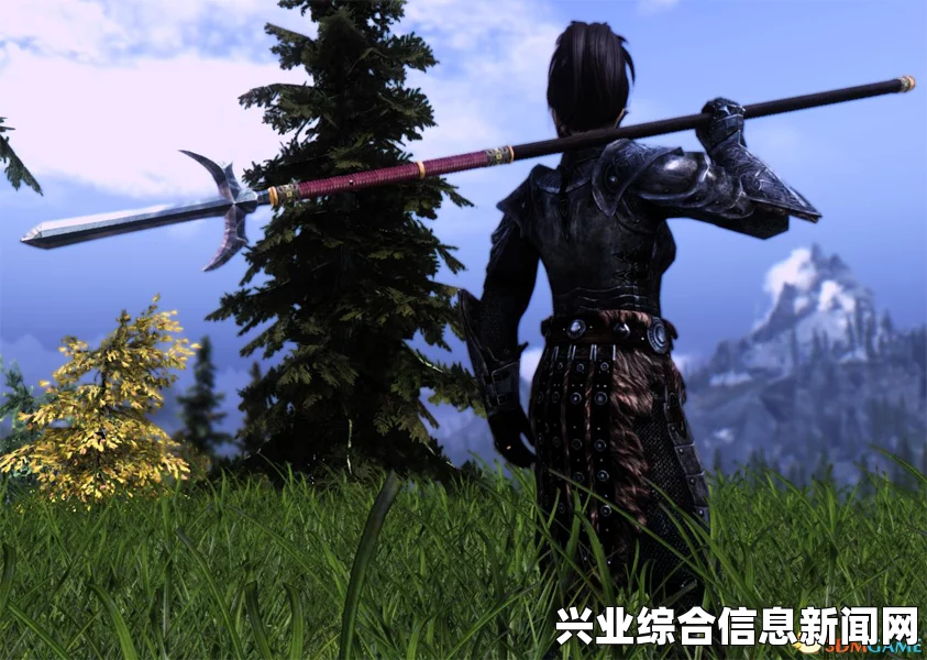 上古卷轴5，武器MOD探索之旅——不动明王三刀流与二天一流的奥秘