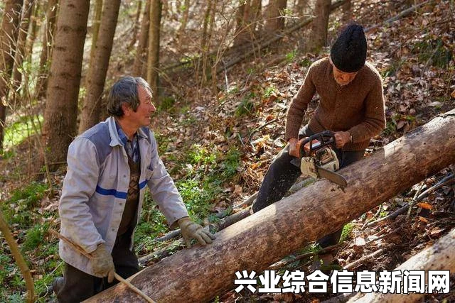 象鸩林砍树方法