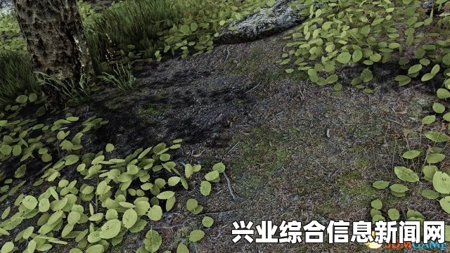 上古卷轴5，身形MOD与自然环境的美妙融合—立体草丛、真实花瓣与皮肤的极致体验