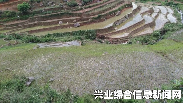 长河村火墙探秘，解锁防火秘籍与应对之道