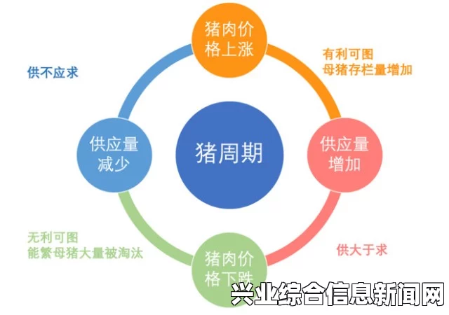 揭秘原因，背后的真相与来源