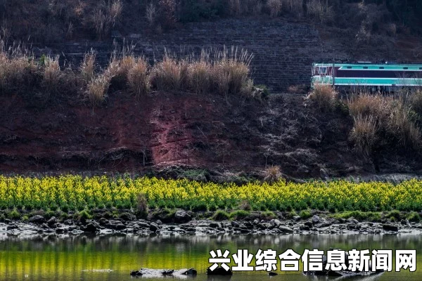 如何离开浮金堂