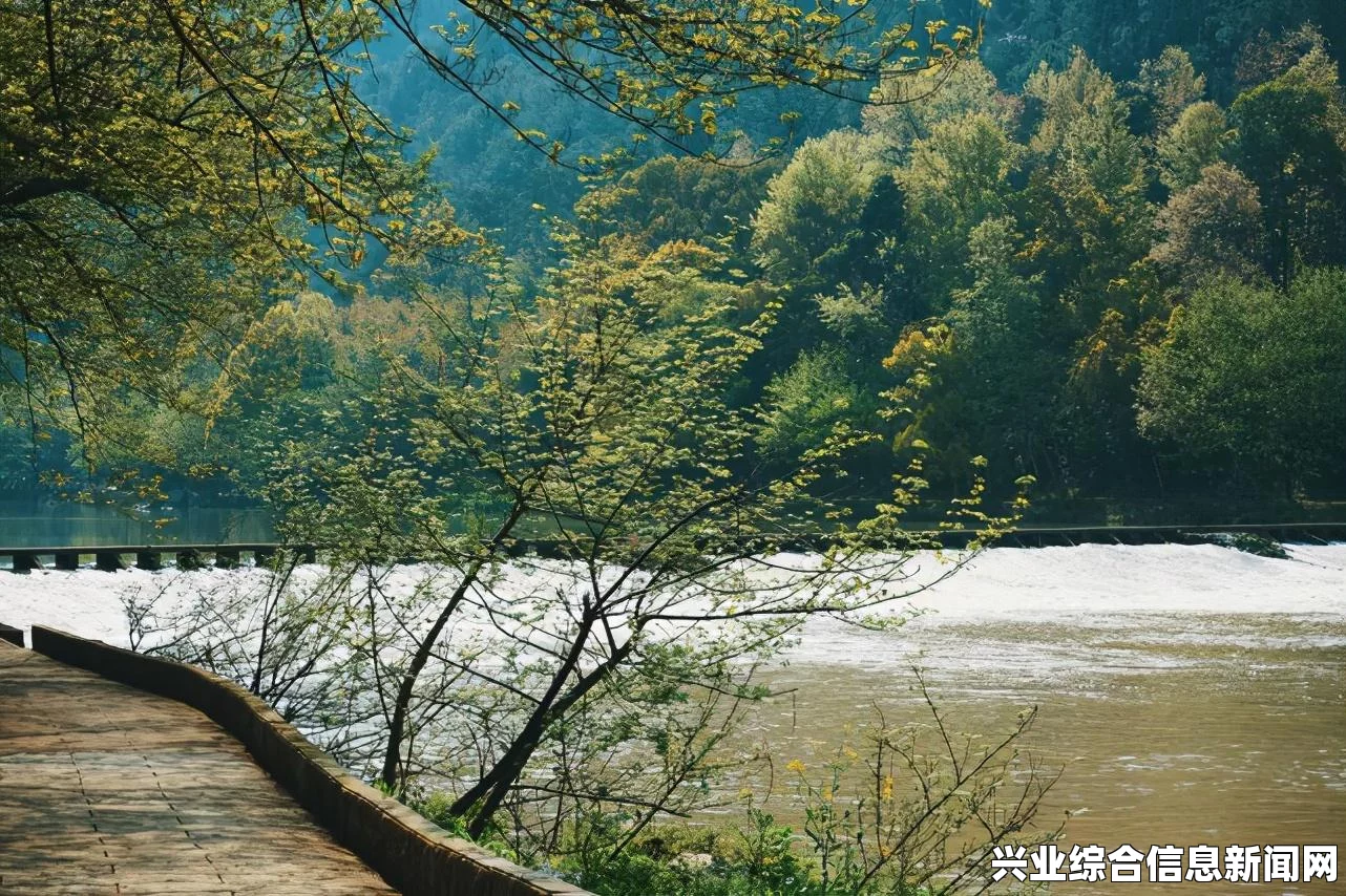 仙剑奇侠传六比武失败深度解析，比武技巧与失败原因探究