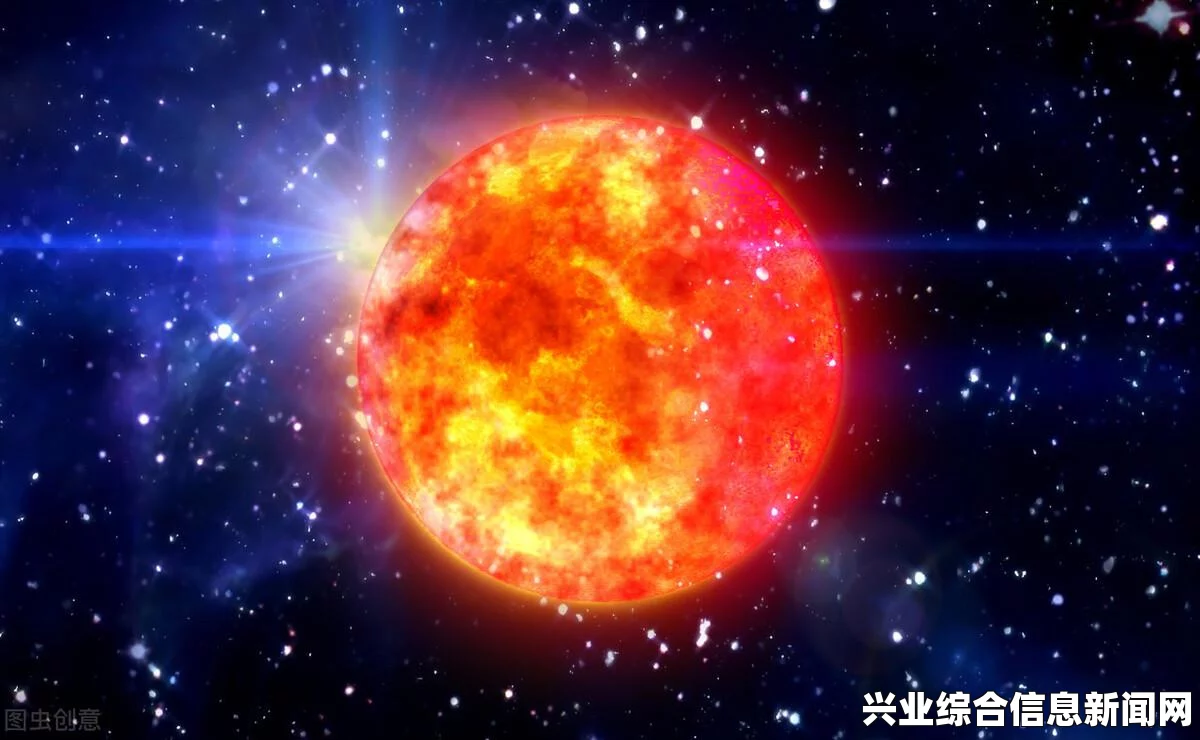 宠物驯养食物概览，知识与要点解析