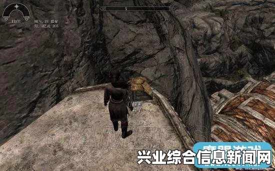 上古卷轴5，大型任务MOD—月影之路与虎人的救赎