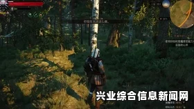 巫师三希里完美结局剧情介绍