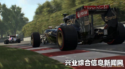 关于F1 2015存档位置的相关信息