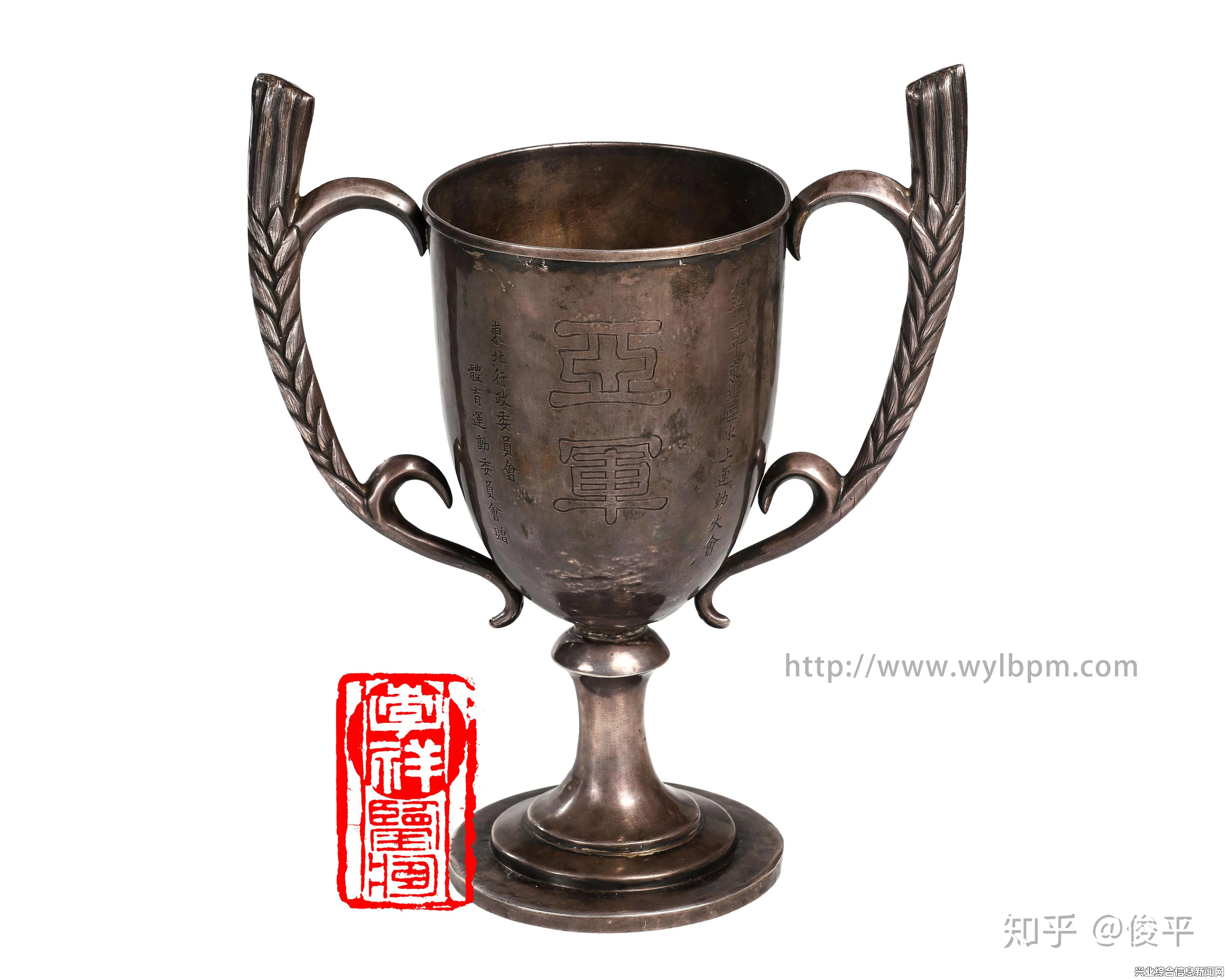 齐头平等奖杯概述
