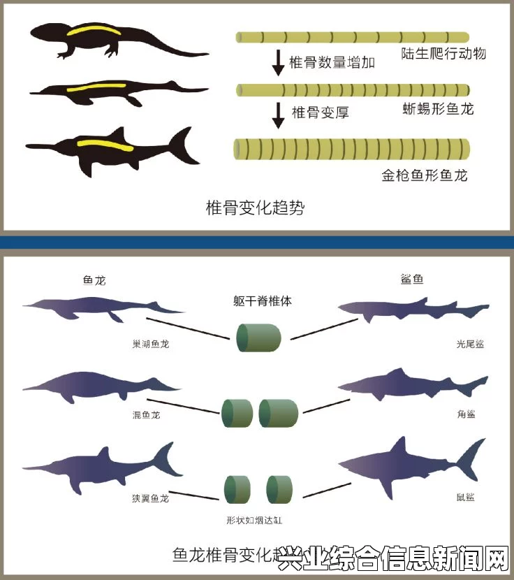 鱼龙的优点