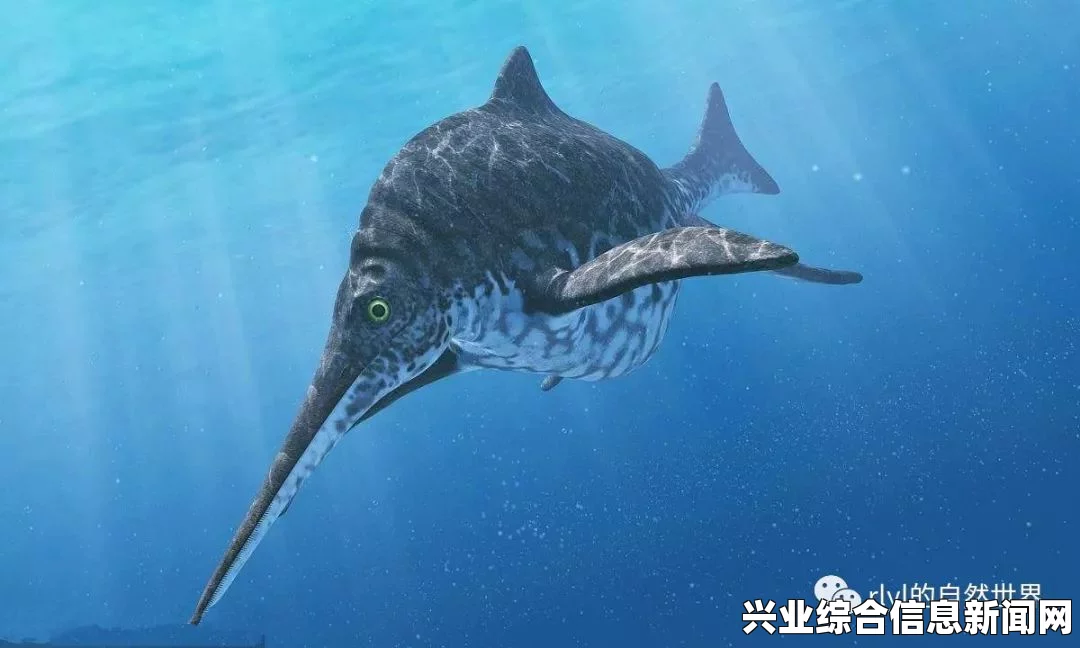 鱼龙的优点