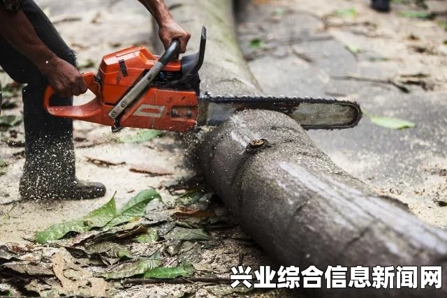 高效伐木方法与技巧指南