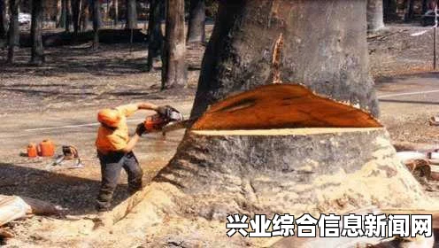 如何快速伐木？