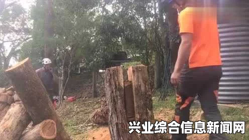 如何快速伐木？