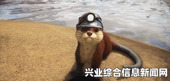 方舟生存进化单机模式设置详解，中英文对照一览表