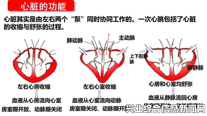 心的连续技深度解析，从视频窥探技巧与奥秘