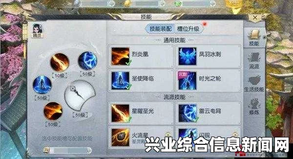 熊派技能全面解析与概述
