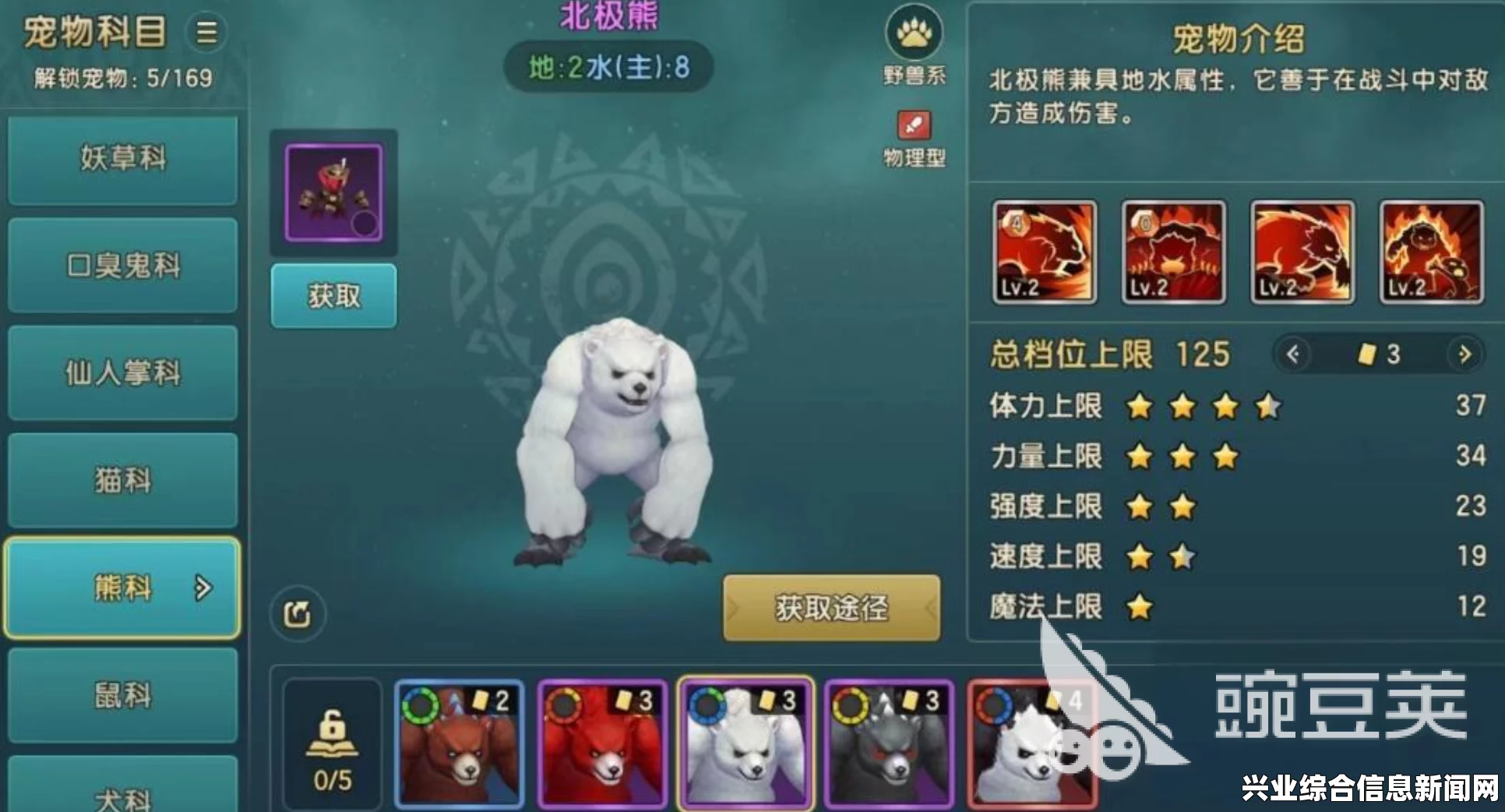 熊派技能概述