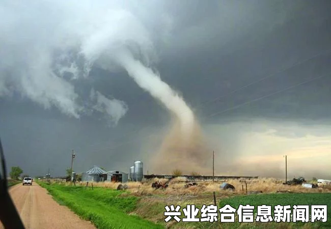 风暴英雄，丽丽辅助英雄技能天赋全解析指南