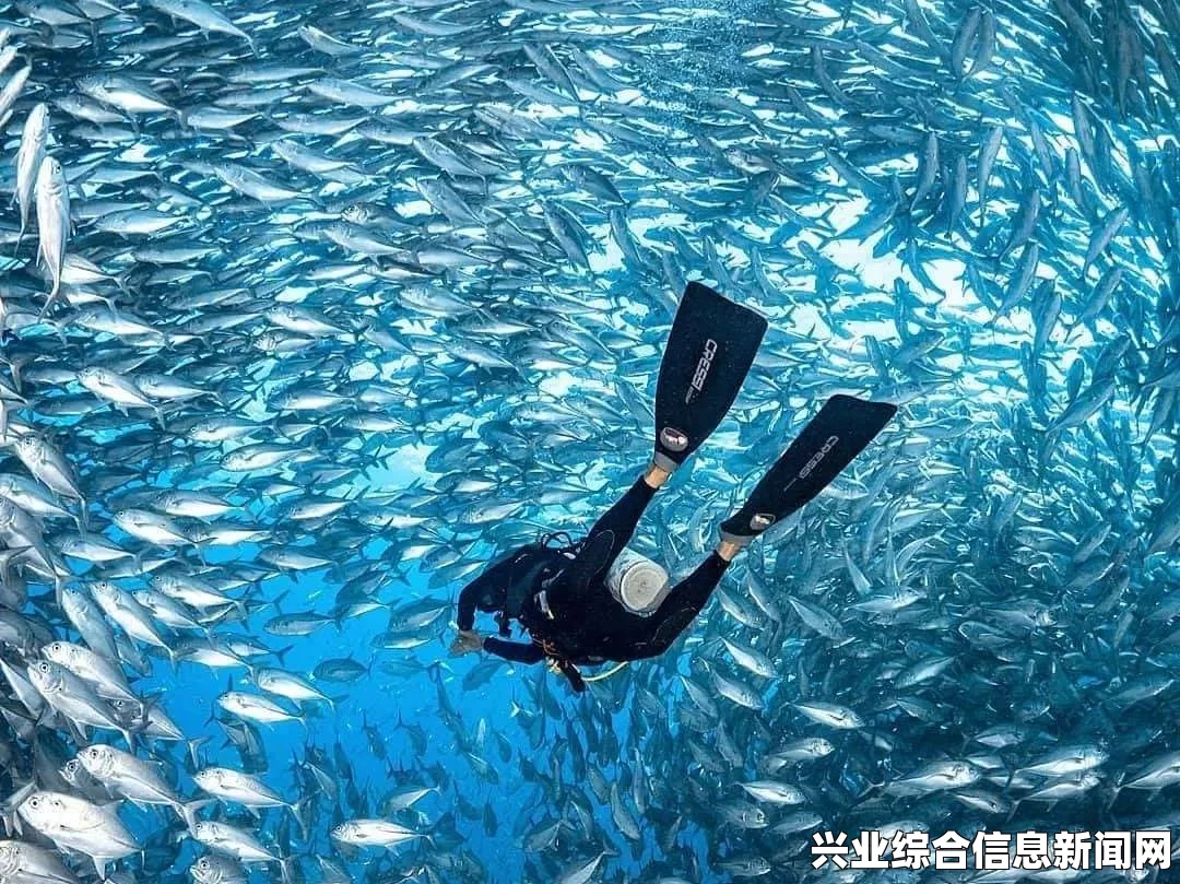 水下行走方法