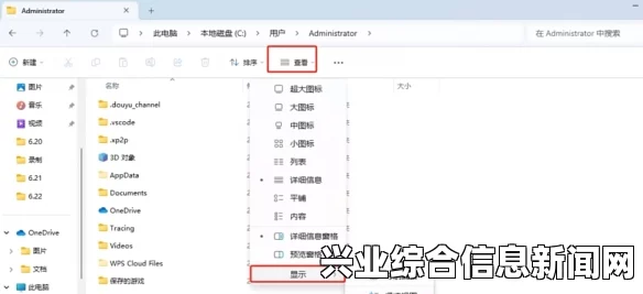 存档位置概述