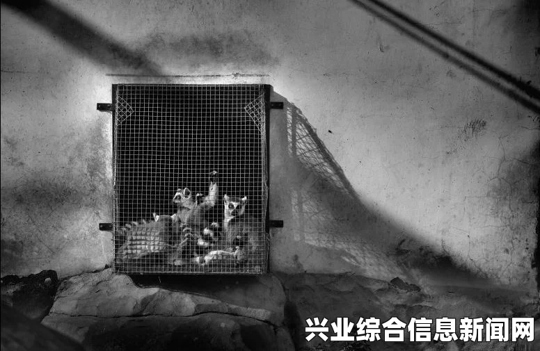 牢笼制作前的准备