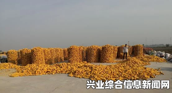 揭秘粮食储备现状，存粮情况一览无余