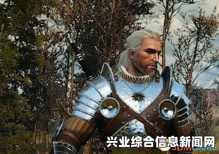 巫师3狂猎 1.06版金甲银甲代码详解